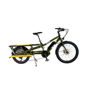 spicy curry electric cargo bike