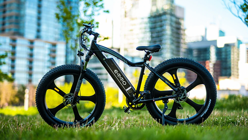 Emmo E-Wild S3