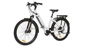 IGO Discovery Rosemont LE